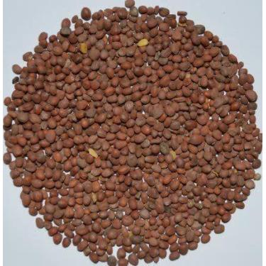 Imagem de Nabão - 1Kg - MS
