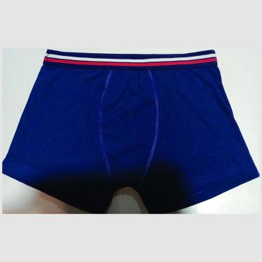 Imagem de Cueca Boxer Algodão com Elástico Listrado Marinho Basic + P