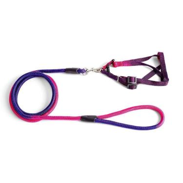 Imagem de Coleira - Guia Com Peitoral Colorida - G Verde