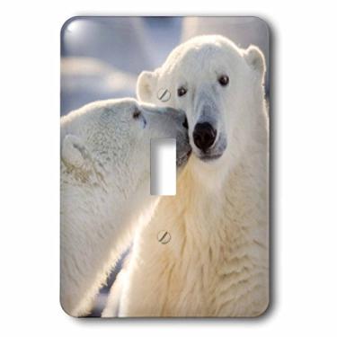 Imagem de 3dRose lsp_70261_1 Canada, Manitoba, Hudson Bay, Churchill, Polar Bear Interruptor único
