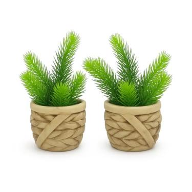 Imagem de Conjunto Vaso Terracota Suculenta Tendência Design Luxo Moderno