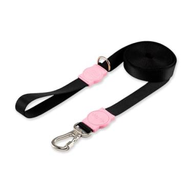 Imagem de Dog Trip Brasil Coleira Guia 10 Metros Para Cães Cachorro Adestramento Passeio Porte Grande Médio Pequeno (M, Blum)