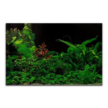 Imagem de Painel Para Aquários Fundo Preto Com Plantas Pp-089 - Chang