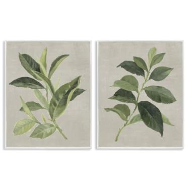 Imagem de Stupell Industries Conjunto de arte giclée emoldurado branco com folhas de planta de chá e café verde, design de Lanie Loreth, 28 x 35 cm