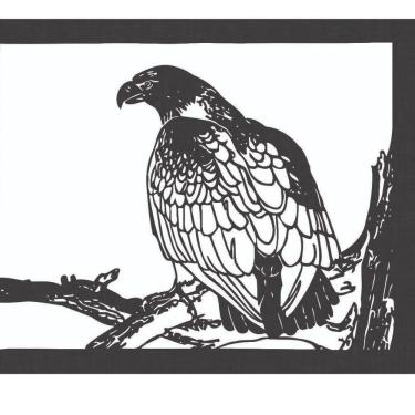 Imagem de Quadro Decorativo Preto Mdf Gavião 40X20Cm