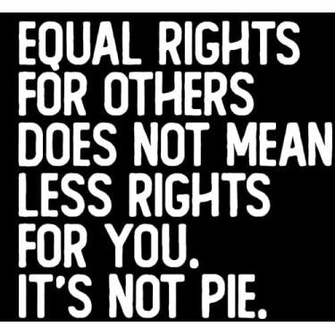 Imagem de Equal Rights for Others Does Not Mean Less Rights for You It's Not Pie RBG NOK Decalque Adesivo de Vinil |Carros Caminhões Paredes Laptop| Branco |15 x 14.2 cm|NOK2308