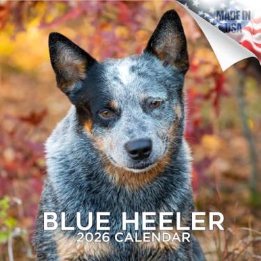 Imagem de Calendário de cachorro azul Heeler 2024 2025 - Calendário de parede mensal de raça de cachorro - 30,5 x 61 cm aberto - Papel grosso sem derramamento - Presente - Calendário de planejamento de