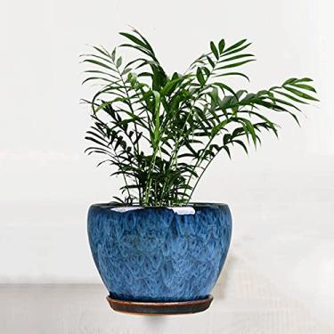 Imagem de EESCZVGBDX Vaso de cerâmica vintage grande pavão azul colorido vaso de plantas clássico piso interno jardim plantas verdes cacto ervas plantas plantação vaso jardinagem paisagem vaso