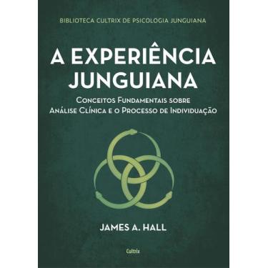 Imagem de Livro - A Experiência Junguiana