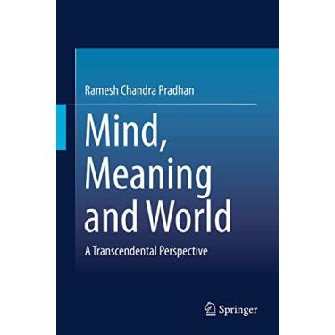 Imagem de Mind, Meaning and World: A Transcendental Perspective