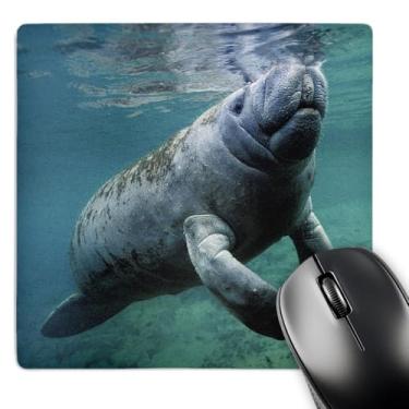 Imagem de 3dRose Mouse pad LLC 20 x 20 x 0,63 cm, boi oeste Trichechus Manatus Flórida EUA (mp_37639_1)