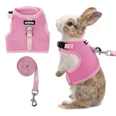 Imagem de AIITLE Conjunto de arnês e coleira respirável, alças ajustáveis e design de fita mágica, colete de ajuste confortável para filhotes, gatos, esquilos, ratos, coelhos, furões, caminhadas ao ar livre