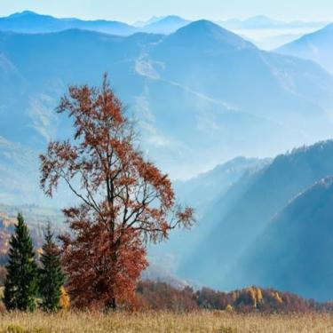 Imagem de Quadro Decorativo Paisagem Outonal Montanhas Árvores Coloridas - Arte de Parede Vibrante Tamanho 30x30cm