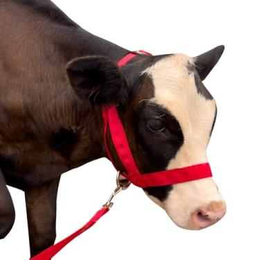 Imagem de Cabresto de vaca de nylon, cabeçote de bezerro de gado, equipado com corda de tração, comprimento ajustável para gado, adequado para gado grande e pequeno, burros, cabras, cavalos e aves (vermelho, G)