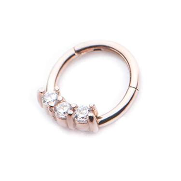 Imagem de Pierced Owl Anel de Segmento de Aço Inoxidável 16G 5/16" com Prong Set Clear CZ Gems