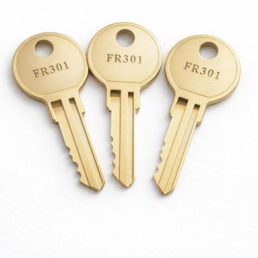 Imagem de Pacote com 3 Chaves de Substituição Rolvyns FR314 FR301-FR350