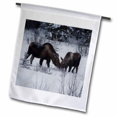 Imagem de 3dRose fl_16874_1 Alce de vaca e bezerro comendo ramos de inverno no campo nevado 1 bandeira de jardim, 30 x 45 cm