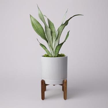 Imagem de HERDUK Vaso de cerâmica de 20 cm com suporte de madeira natural com drenagem e pires - Plantador interno moderno para cactos, plantas de cobra e aloe vera