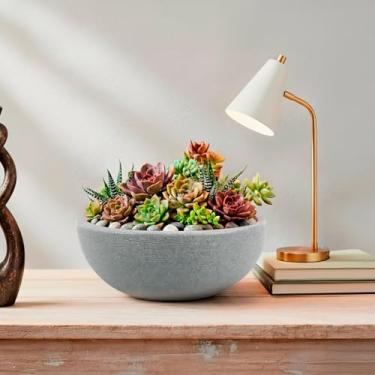 Imagem de Vaso modelo Bacia Riscatto em Polietileno 2L (Cinza)