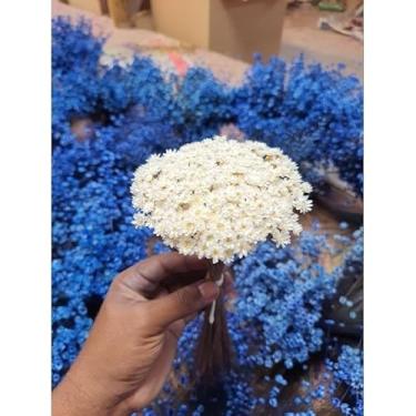 Imagem de Flores Sempre Viva Secas para Decoração – Kit 300 a 2100 Unidades Ideal para Festa Casamento e Arranjos (Mini sempre viva branca,5 buquês)