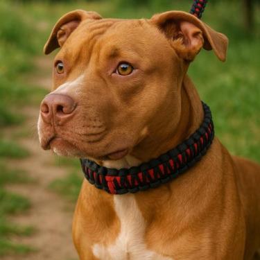 Imagem de Coleira para Cachorro  Guia Unificada Para Cães de Grande e Médio Port