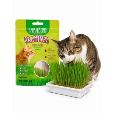 Imagem de Graminha Gatos Grama Eliminação Pelos Digestão Saudável 50g - Animalis