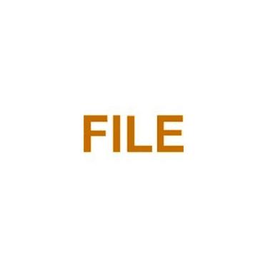 Imagem de Carimbo de autotintagem FILE Big - Laranja
