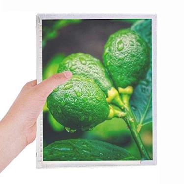 Imagem de Caderno fotográfico com imagem de limão Fresh Fruits Diário de folhas soltas Recarregável Diário Papelaria