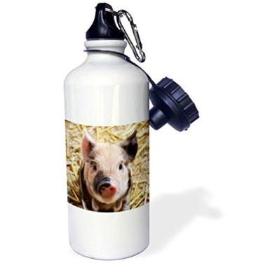 Imagem de Garrafa de água esportiva 3dRose Lovely Farm Baby Pig, 525 ml, natural