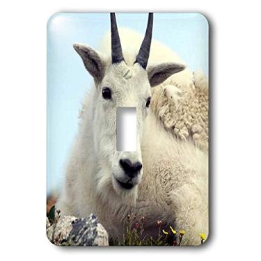 Imagem de 3dRose lsp_1318_1" Interruptor de botão único de cabra alpino