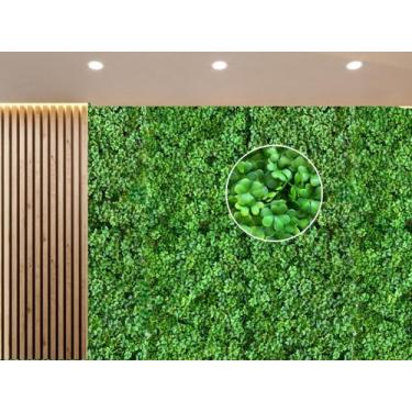 Imagem de 8 Placas de Folhagem Artificial Realista Painel Decorativo Linha Premi