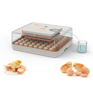 Imagem de Jinmuxilll Incubadora de ovos para incubação, incubadora inteligente de 56 ovos com controle de temperatura e umidade, rotação automática de ovos, dias de eclosão e vela de ovos, ajustável