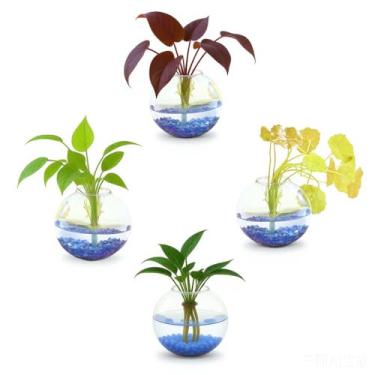 Imagem de 4 vasos de parede de vidro, vaso oval de terrário, estação de propagação para hidroponia, plantas de interior, decoração de escritório doméstico (grande)