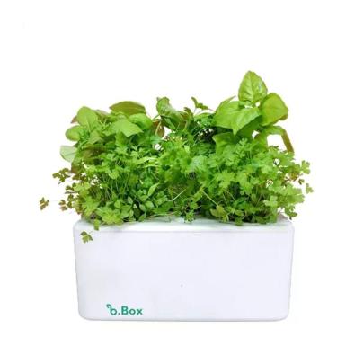 Imagem de Kit Horta Inteligente E Sementes - Com Autoirrigação