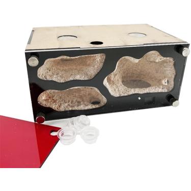 Imagem de Fazenda de formigas acrílicas Expansão infinita Ninho de formiga Área de casa de insetos de concreto Área de criação de rainha Kit de formigueiro Acessórios Castelo de formigueiro Casa de fo