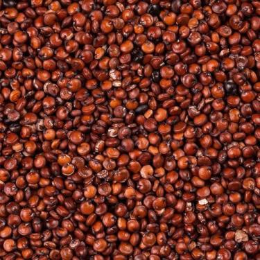 Imagem de Quinoa Vermelha em Grãos - 2kg - N4 NATURAL, 2kg