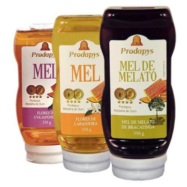 Imagem de Kit com 3 Bisnaga 550g de Mel de Bracatinga Uva Japonesa E Laranjeira 