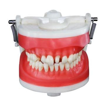 Imagem de Manequim Articulado Materiais Dentários PD 101 Pronew