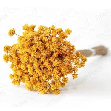 Imagem de Espeta Nariz Desidratado - Pense Flores, Amarelo