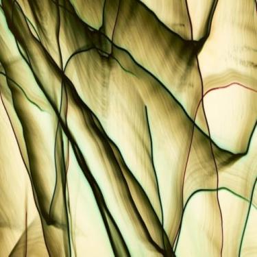 Imagem de Quadro Decorativo Abstrato Colorido Vibrante para Decoração Moderna 40x40cm