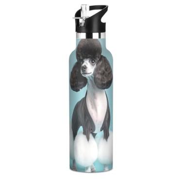 Imagem de Garrafa de água isolada de aço inoxidável de 590 ml com tampa de canudo Chic Poodle Dog Art Garrafas de água para meninos meninas copos de viagem para crianças sem BPA aspirador de parede dupla com