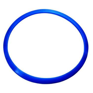 Imagem de Guarnição/Anel De Vedação Autoclave Alt 5Lts 26013-173