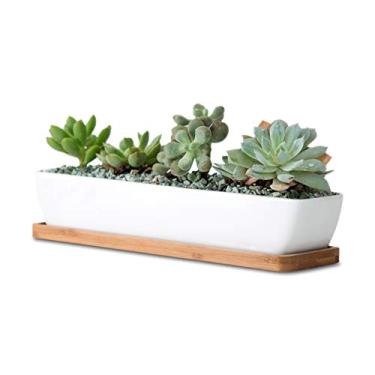 Imagem de Vasos para suculentas de cerâmica branca retangular de 28 cm/mini recipientes para plantas de flores com pires de bambu. Tamanho do produto: 28 x 6 x 4,5 cm, não inclui a planta. (retângulo longo)