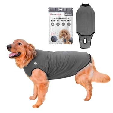 Imagem de Protetor de barriga – Macacão de recuperação para cães – Alternativa para cone – após uso cirúrgicoBelly Guard X-Large cinza