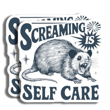 Imagem de Adesivo Screaming is Self Care - Adesivo de animal motivacional - Adesivo engraçado de gambá - Lembrete de autocuidado - Adesivo de saúde mental - Design decorativo durável para casa - AAS0788