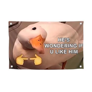 Imagem de Bandeira engraçada de 9,5 x 1,5 m com imagem de um pato citação "He's Wondering If U Like Him" com quatro ilhós de latão - Banner meme de poliéster para decoração de parede - Tapeçarias de um lado
