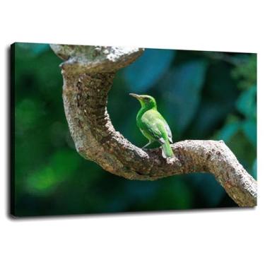 Imagem de Birdwatching Wall Art Costa Canvas Prints Rica Poster For Home Conjunto de 1 Decorações com Emoldurado 30.5 cm x 20.3 cm