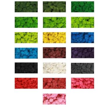 Imagem de Decoração de Parede com Musgo Preservado Real Sem Manutenção Necessária Naturalmente para Interior Casa Escritório Festas Festivais Artesanato Natal