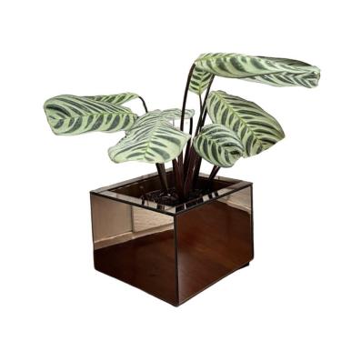 Imagem de Vaso Mel Médio Em Mdf Com Vidro Espelhado