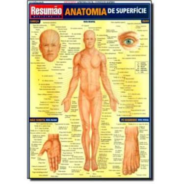 Imagem de Anatomia Superficial
